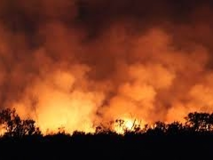 Uso do fogo fica proibido por 60 dias em todo território nacional