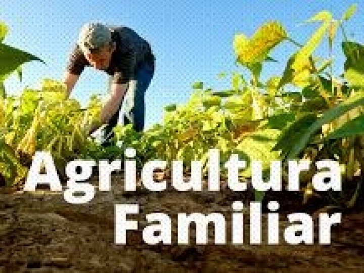 Propostas de Formação de Estoques da agricultura familiar