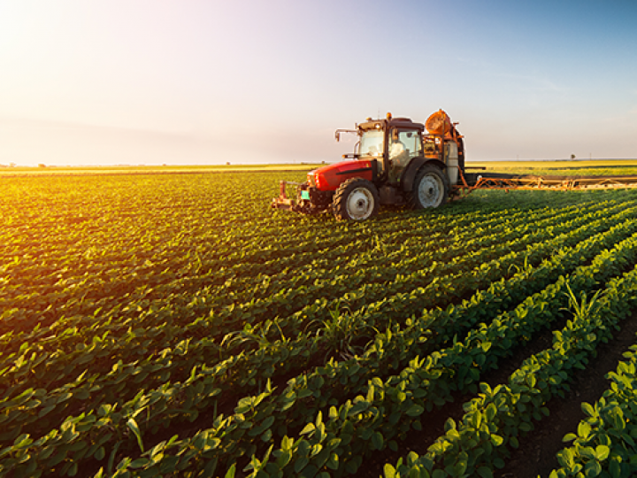 Valor da Produção Agropecuária de 2019 sobe para R$ 606,2 bilhões