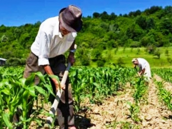 Capacitações de agricultores familiares em 2020