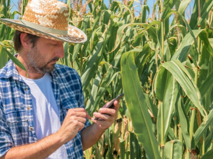 Produtores rurais passam a emitir títulos agrícolas eletrônicos