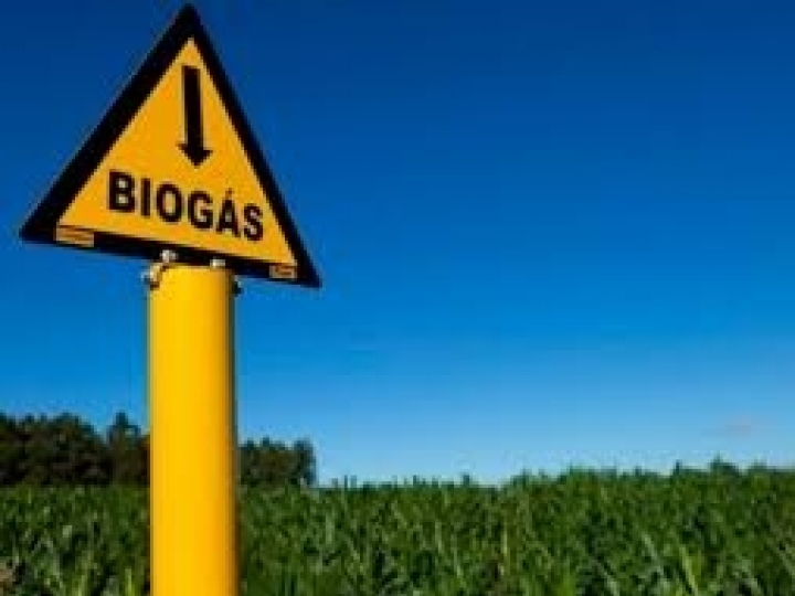 Especialistas dizem como tornar uma planta de biogás lucrativa e debatem o futuro do setor no Fórum Sul Brasileiro de Biogás e Biometano