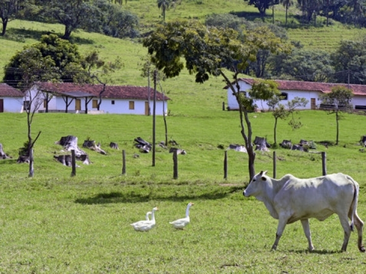 Proprietários  que quiserem acessar o PRA devem fazer o CAR até dia 31/12