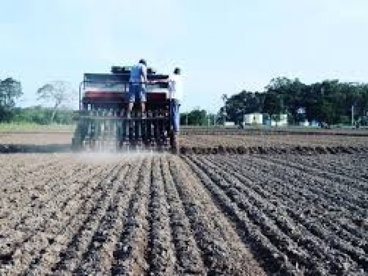 Geração Agro lança aplicativo para gerenciamento de plantio