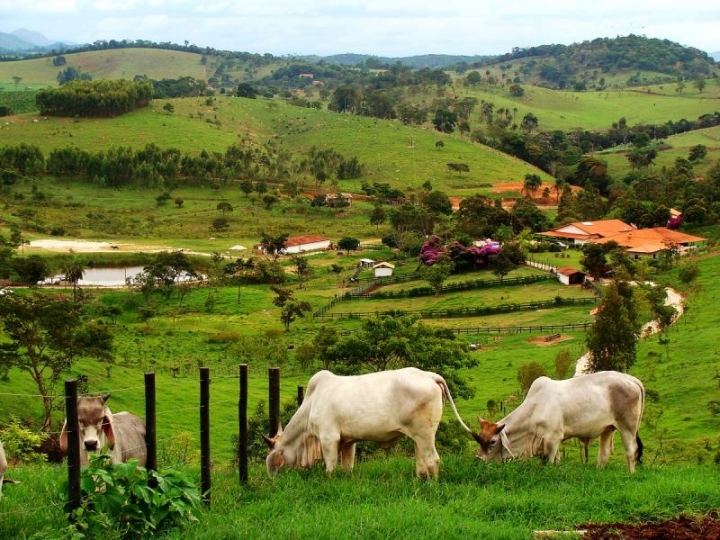 Alta das commodities estimulam investimento rural e  valoriza terras