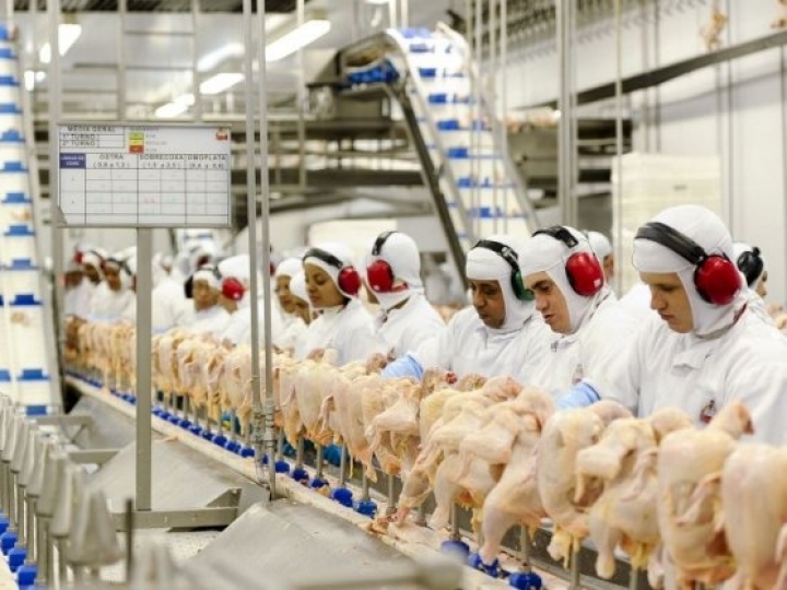 Exportações de carne de frango crescem 5,7% em março