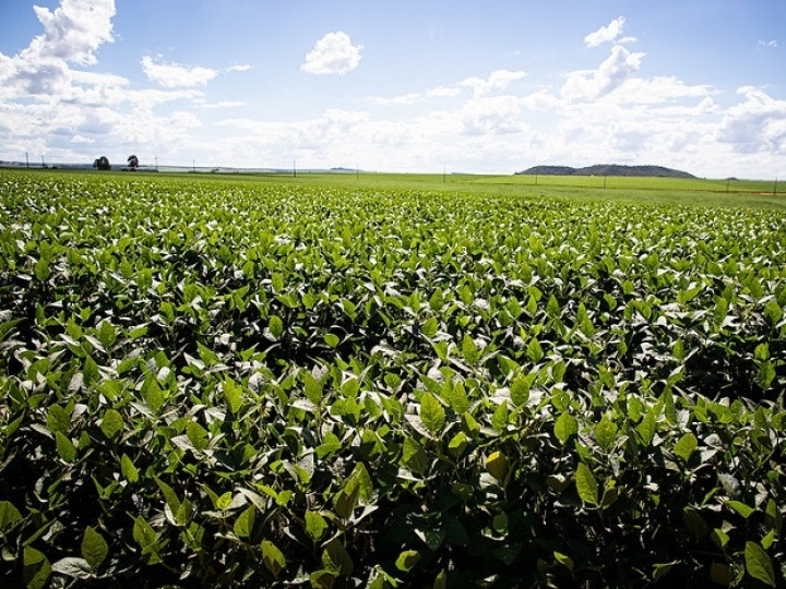 CNA entrega ao governo e à FPA as propostas para o Plano Agrícola e Pecuário 2022/2023