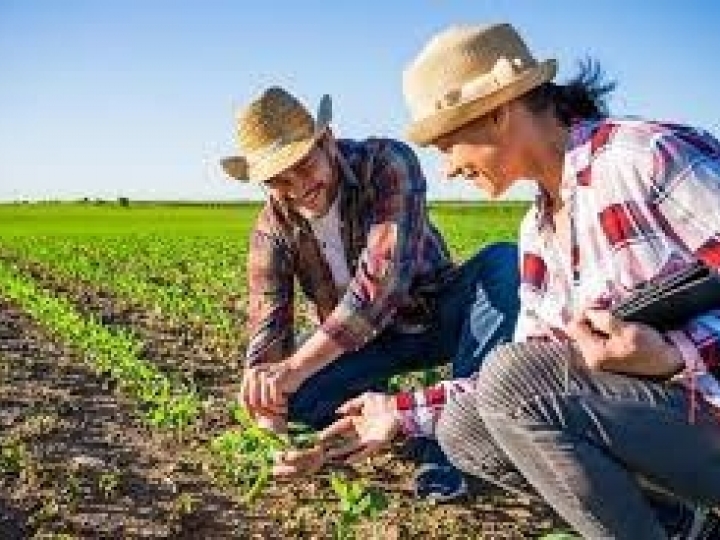 Startup conecta agricultores familiares e mercado comprador de alimentos