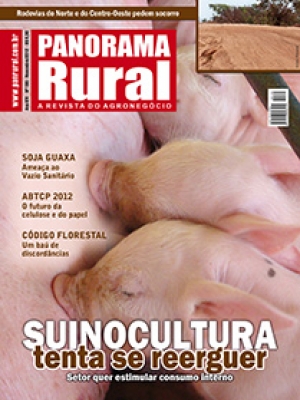 Edição 165 - Novembro 2012