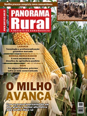 Edição 149 - Julho 2011