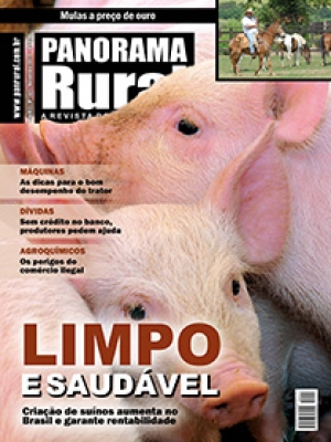 Edição 141 - Novembro 2010