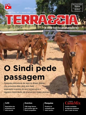 Edição 258 - Agosto 2020